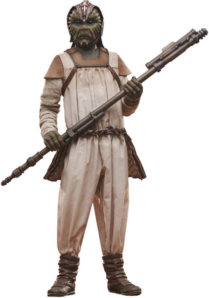 Star Wars Klaatu™ Sixth Scale Figure  (Prototype Shown) View 12