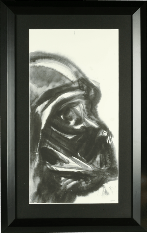 Star Wars Darth Vader' Limited Edition Giclee Print Fine Art Print