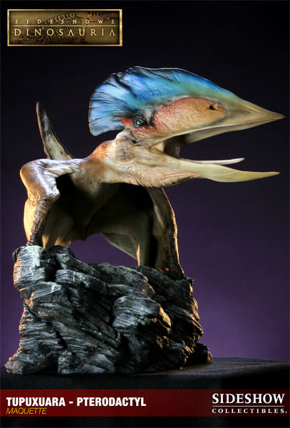 Dinosauria Tupuxuara - Pterodactyl Maquette  View 1