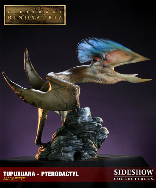 Dinosauria Tupuxuara - Pterodactyl Maquette  View 2