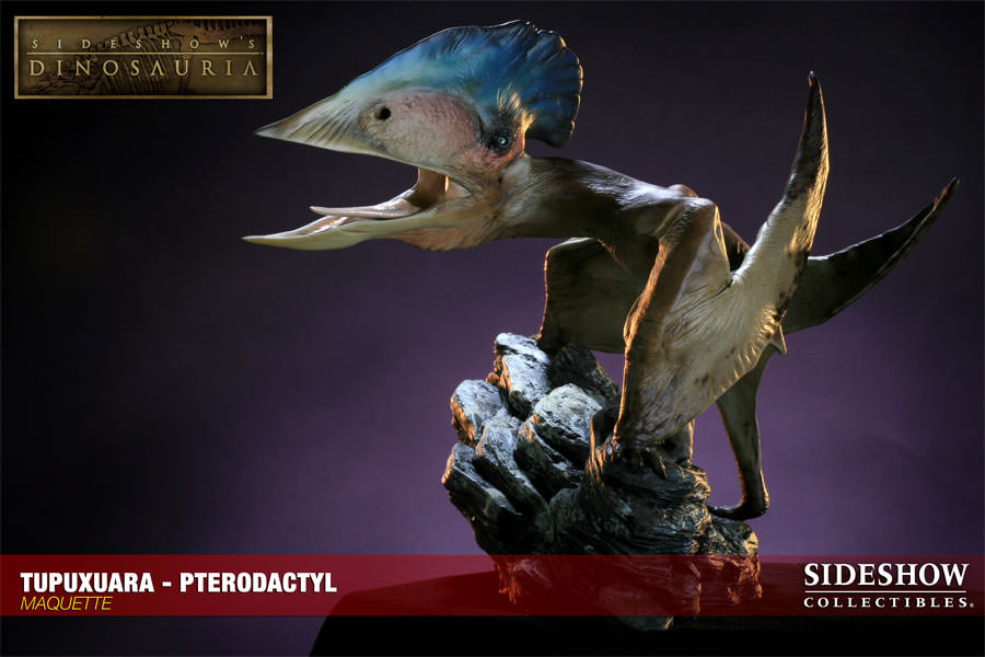 Dinosauria Tupuxuara - Pterodactyl Maquette  View 3