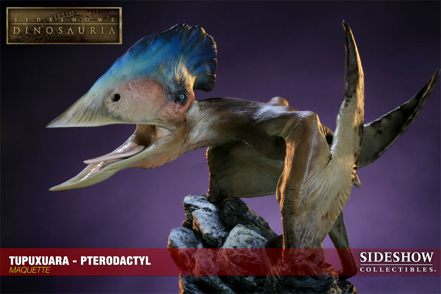 Dinosauria Tupuxuara - Pterodactyl Maquette  View 6
