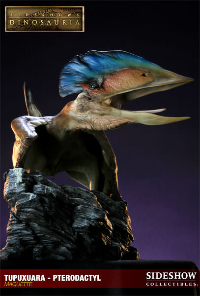 Dinosauria Tupuxuara - Pterodactyl Maquette  View 9