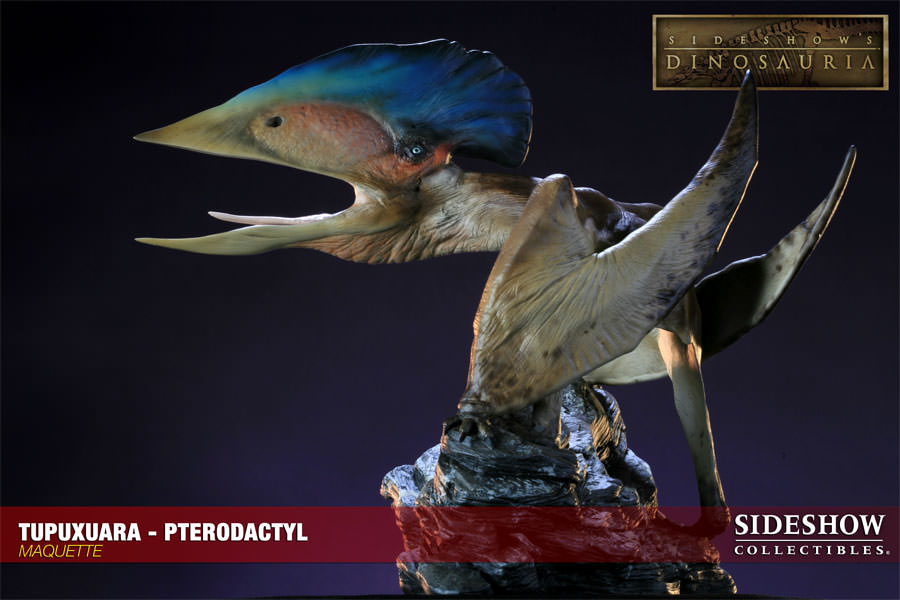 Dinosauria Tupuxuara - Pterodactyl Maquette  View 10