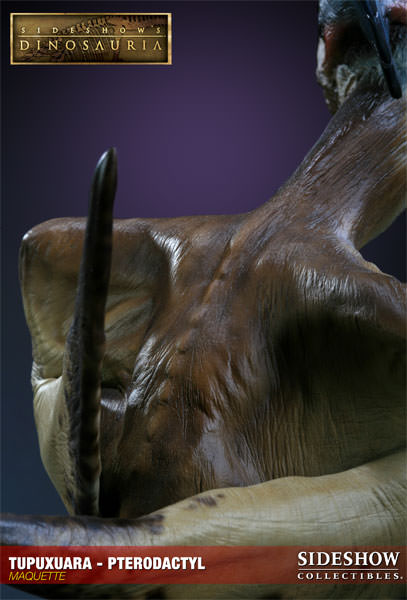 Dinosauria Tupuxuara - Pterodactyl Maquette  View 13