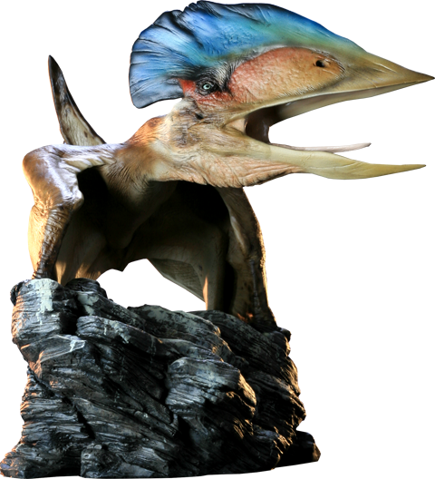 Dinosauria Tupuxuara - Pterodactyl Maquette  View 16