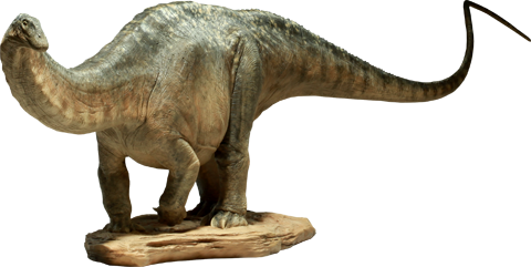 Dinosauria Apatosaurus Maquette  View 12
