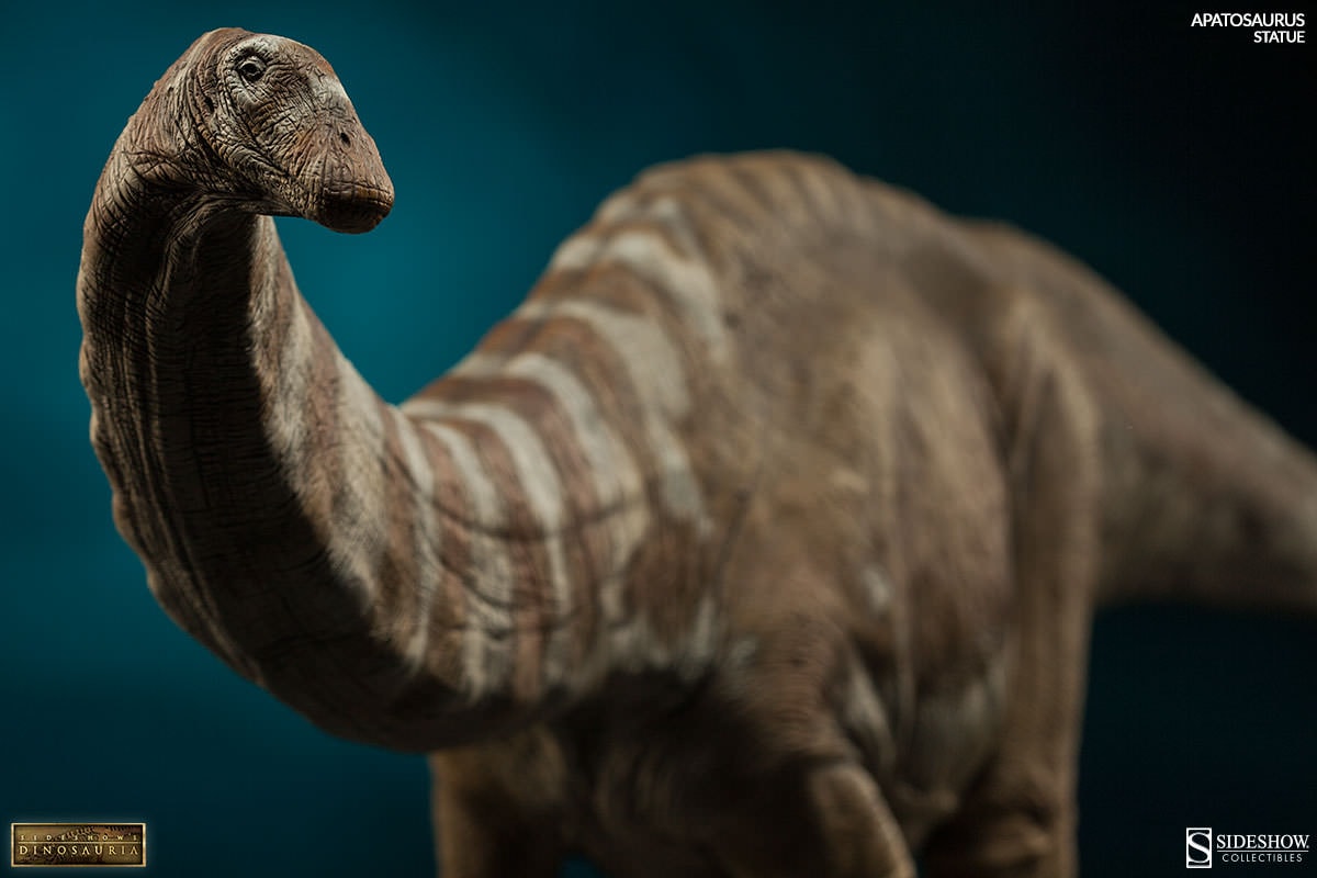 Apatosaurus View 2