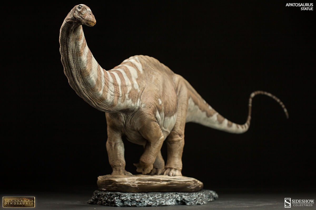 Apatosaurus View 3