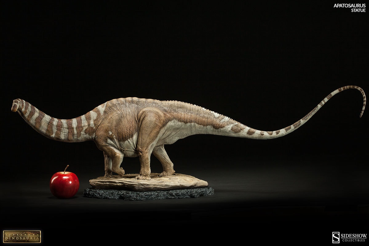 Apatosaurus View 4