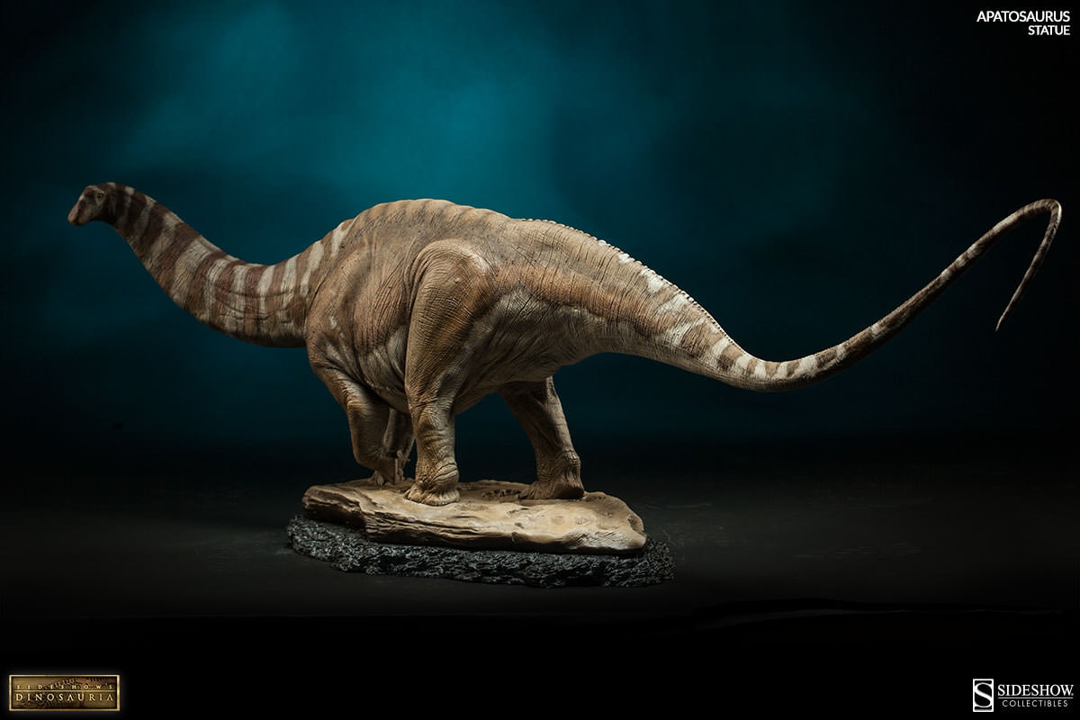 Apatosaurus View 5