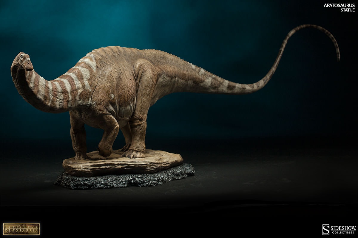 Apatosaurus View 8