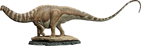 Apatosaurus View 10