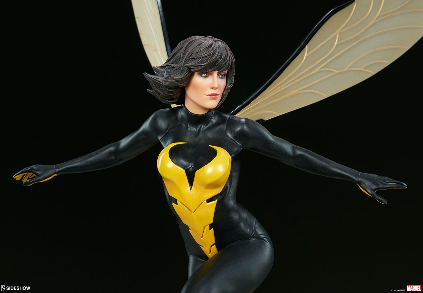 Wasp