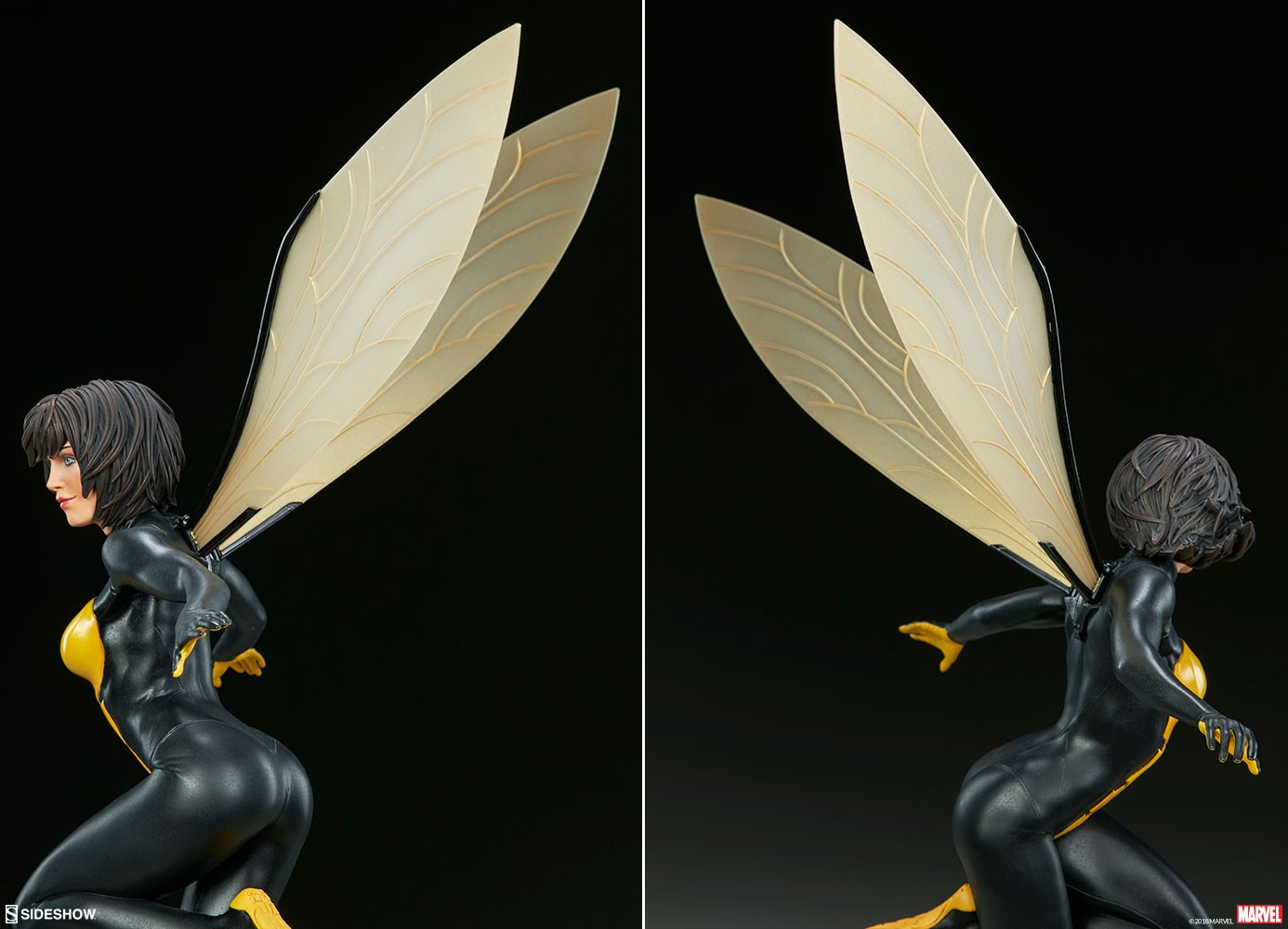 Wasp