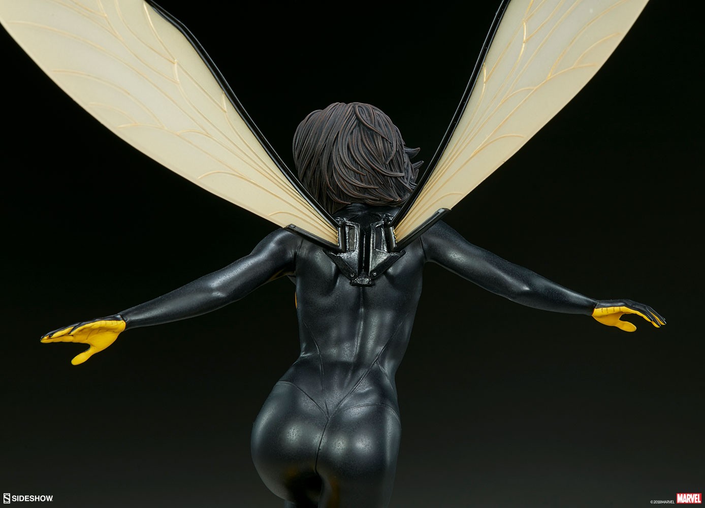 Wasp