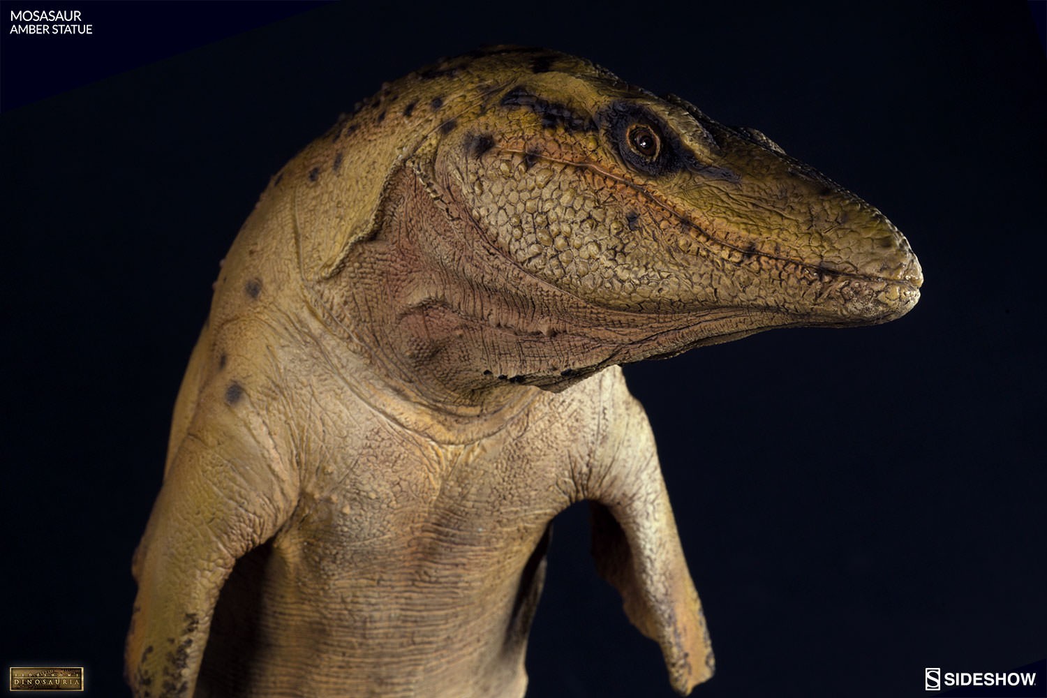 Dinosauria Mosasaur Amber Statues  View 12
