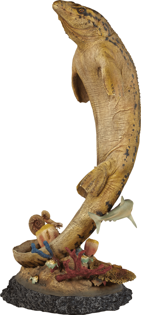 Dinosauria Mosasaur Amber Statues  View 20