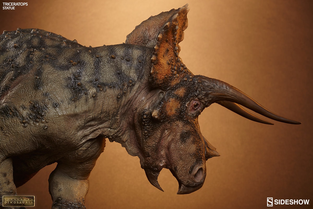 Dinosauria Triceratops Statues  Collector Edition View 2