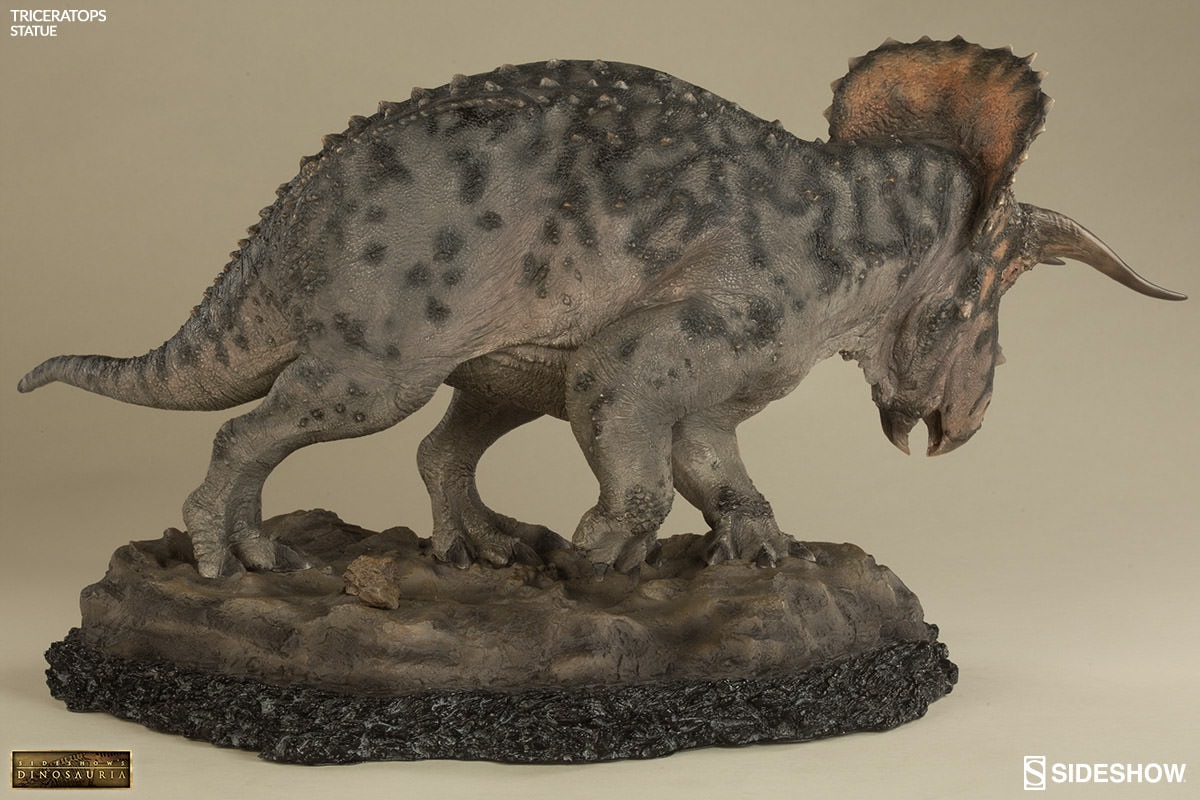 Triceratops Collector Edition View 6
