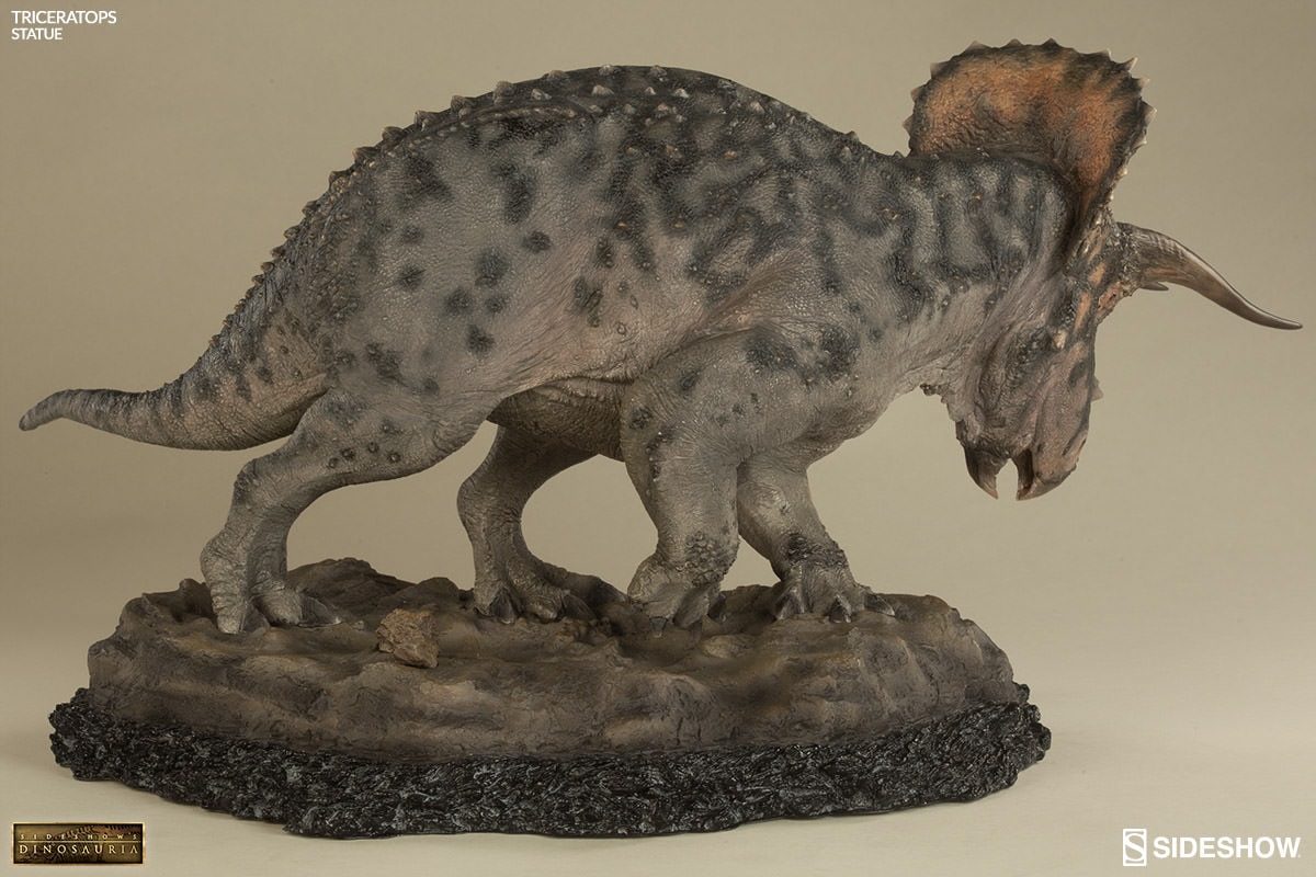 Dinosauria Triceratops Statues  Collector Edition View 6