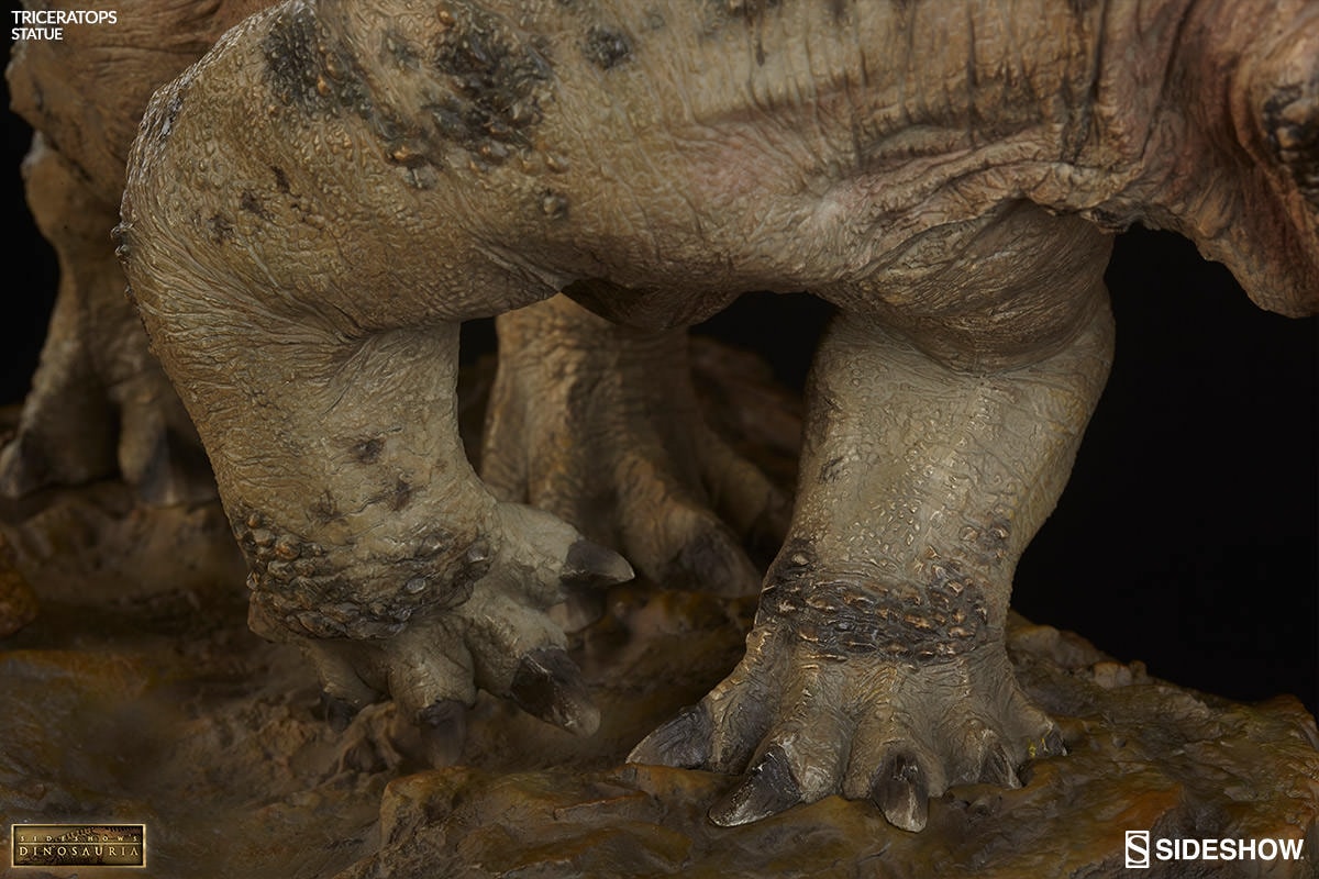 Dinosauria Triceratops Statues  Collector Edition View 12