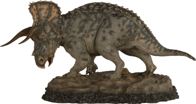Dinosauria Triceratops Statues  Collector Edition View 14