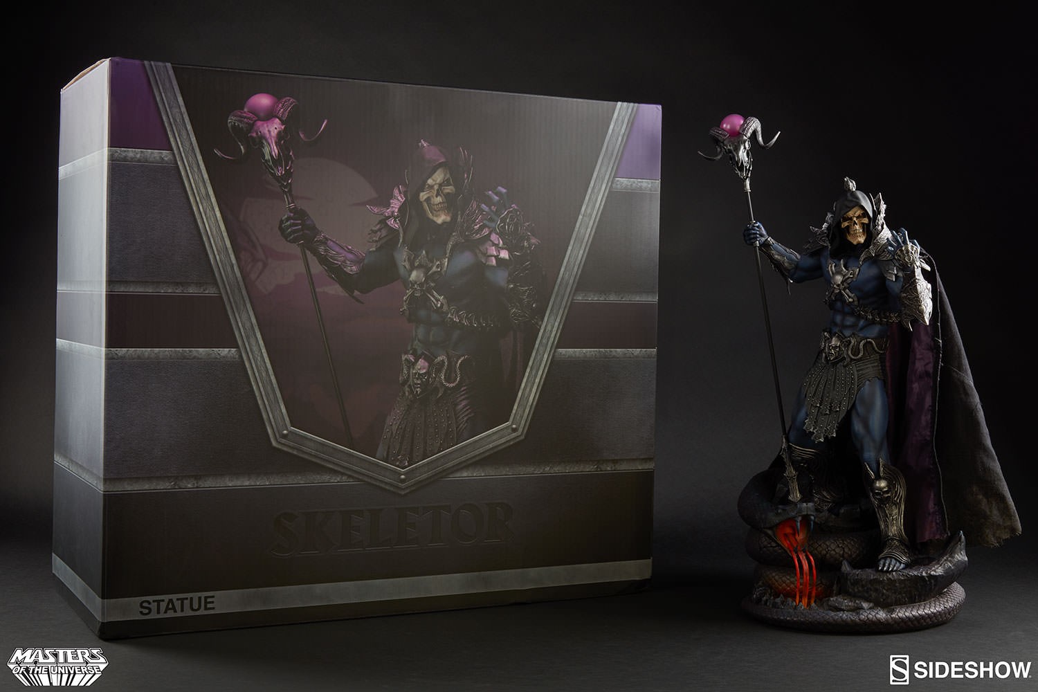 Skeletor Collector Edition View 6