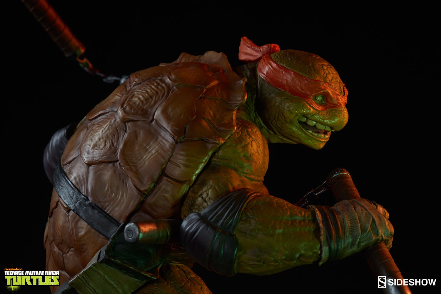 Michelangelo Collector Edition View 3