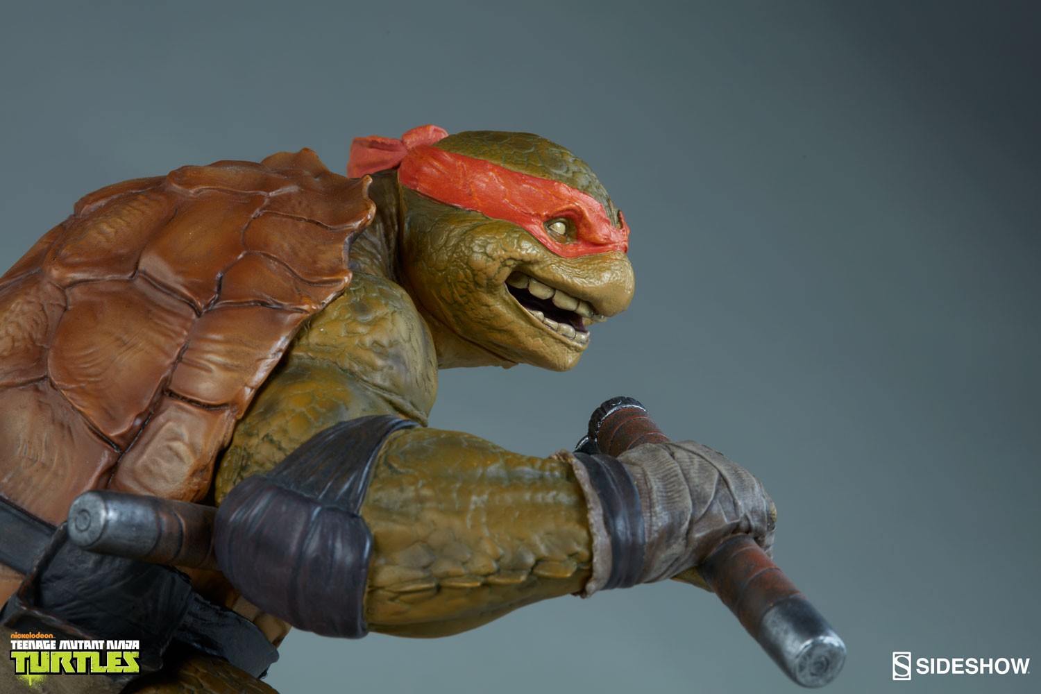 Michelangelo Collector Edition View 14
