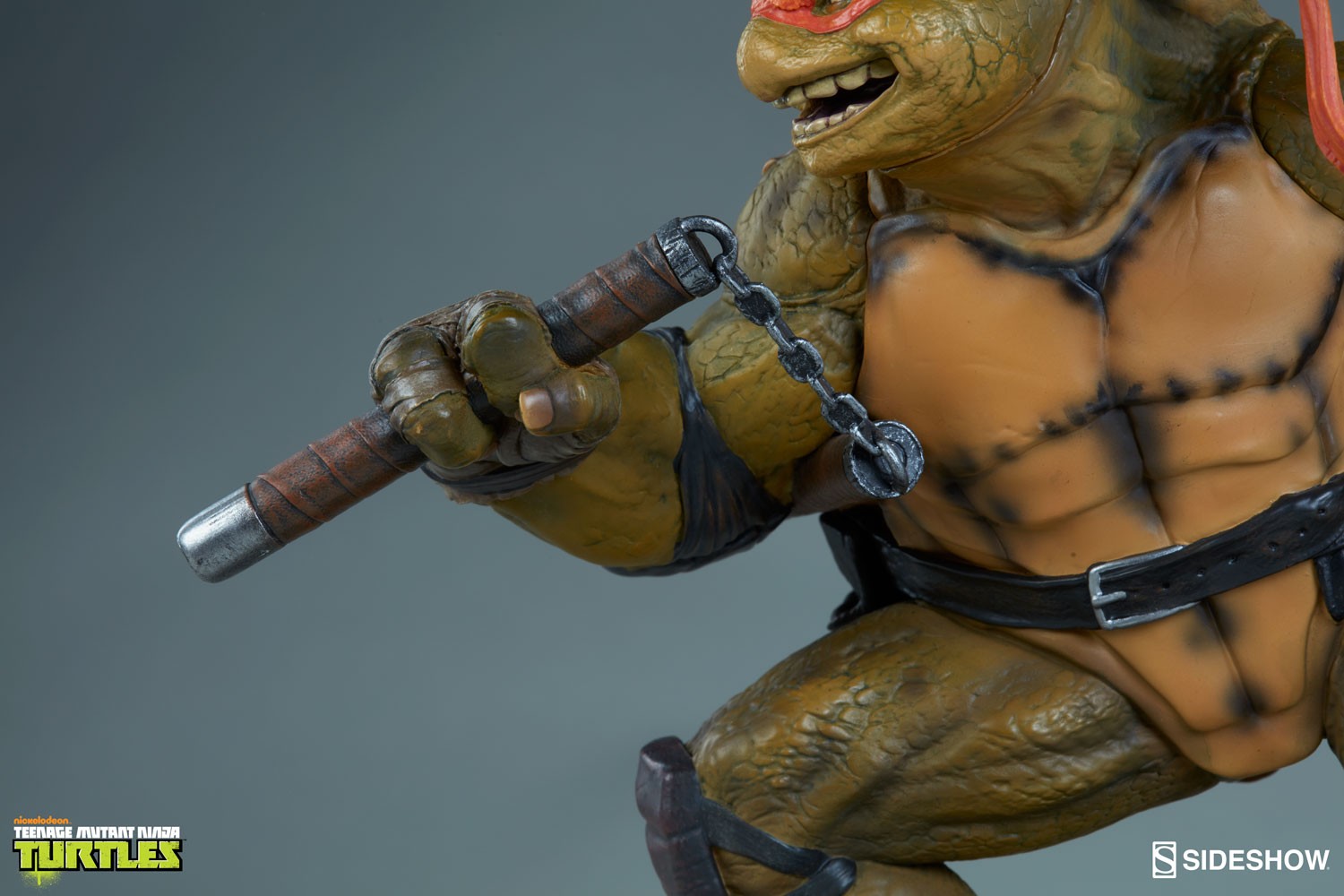 Michelangelo Collector Edition View 2