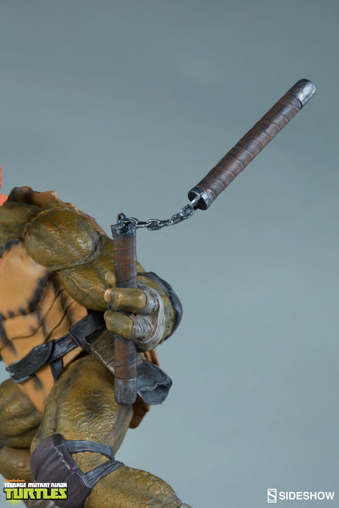 Michelangelo Collector Edition View 20