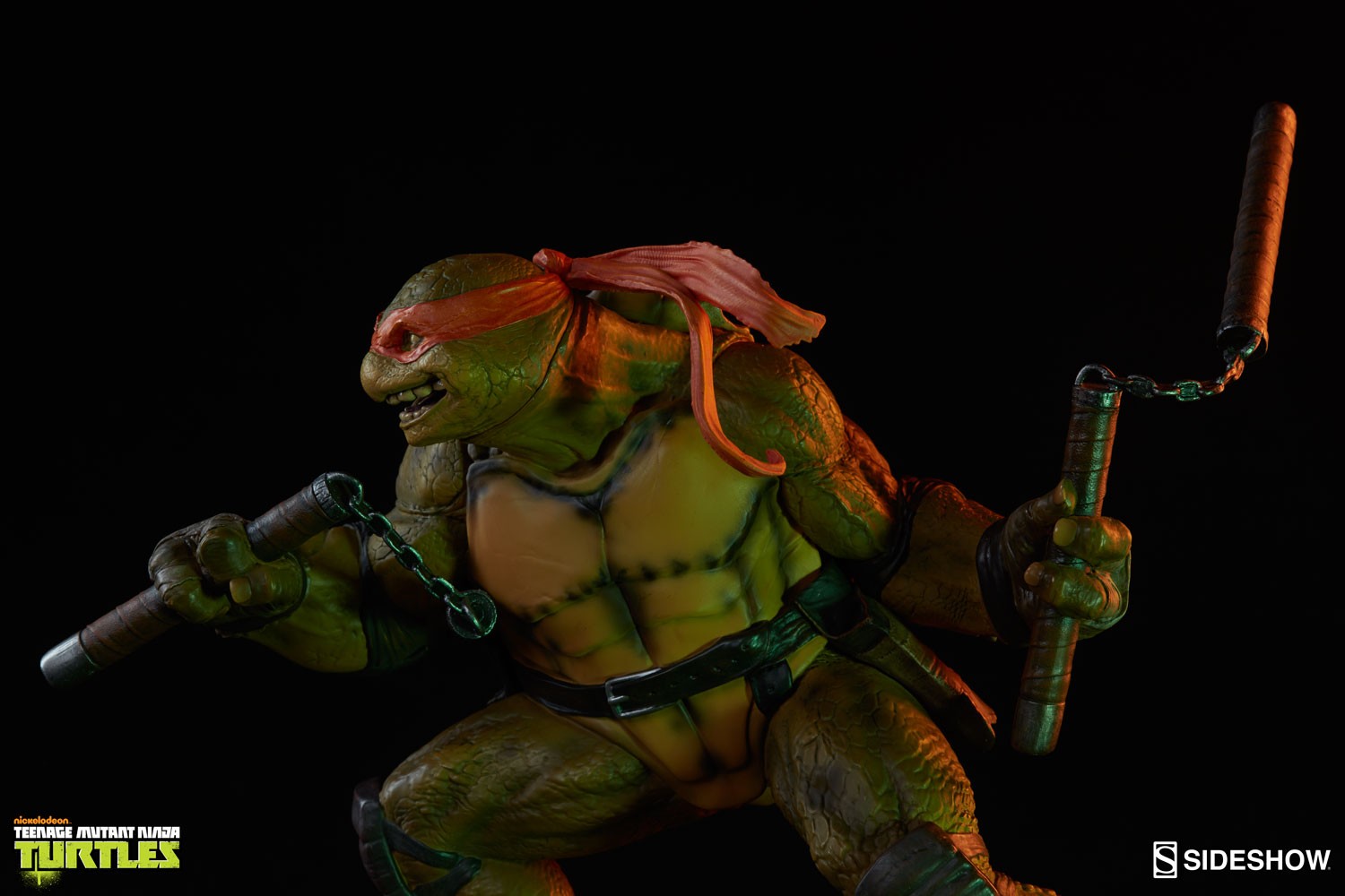 Michelangelo Collector Edition View 5