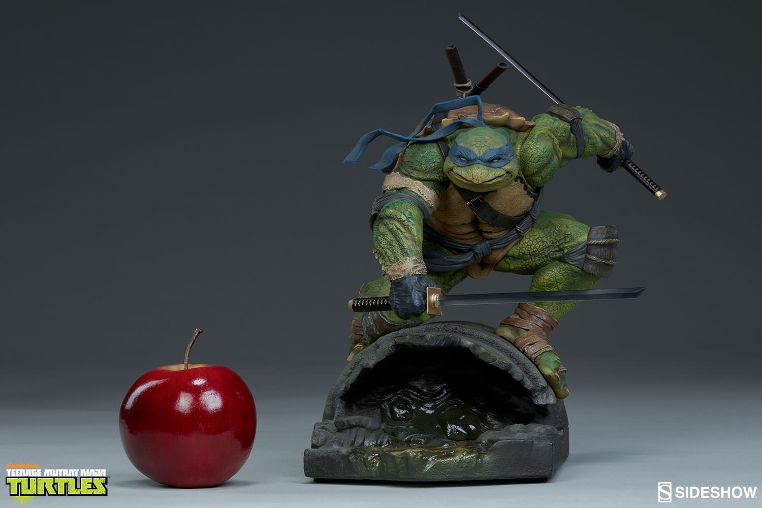 Leonardo Collector Edition View 19