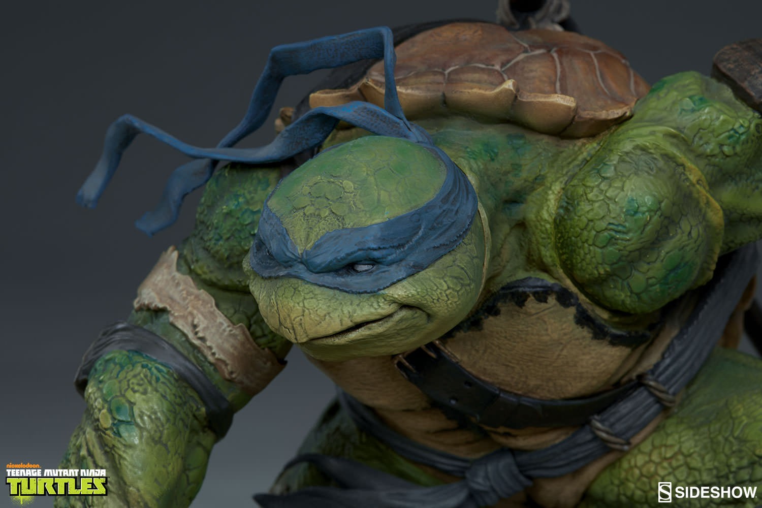 Leonardo Collector Edition View 13