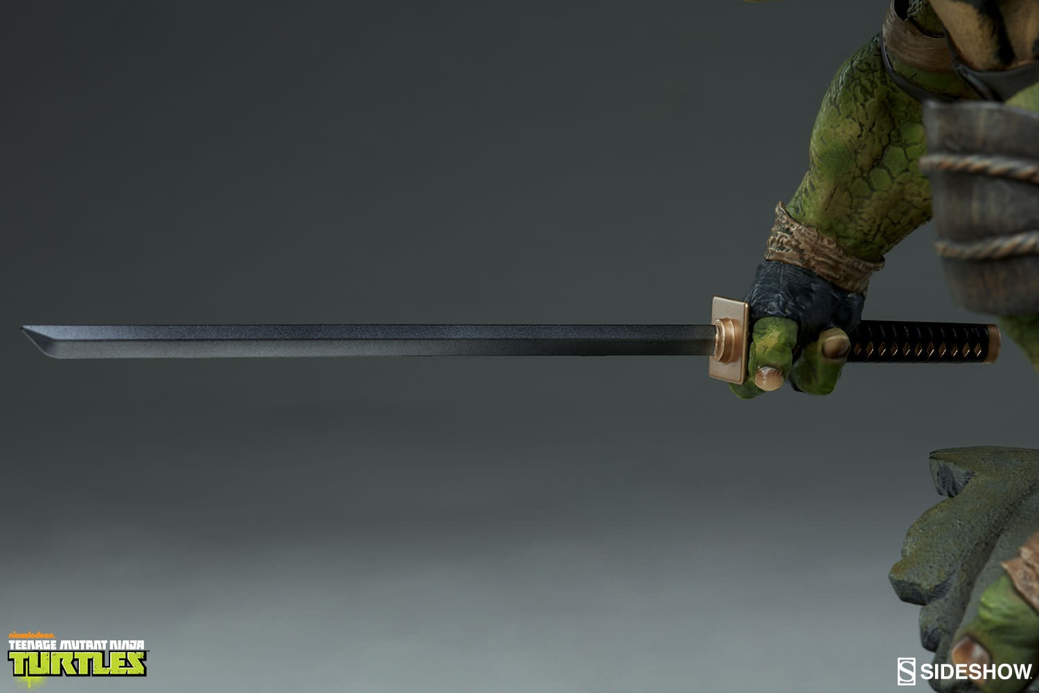 Leonardo Collector Edition View 2