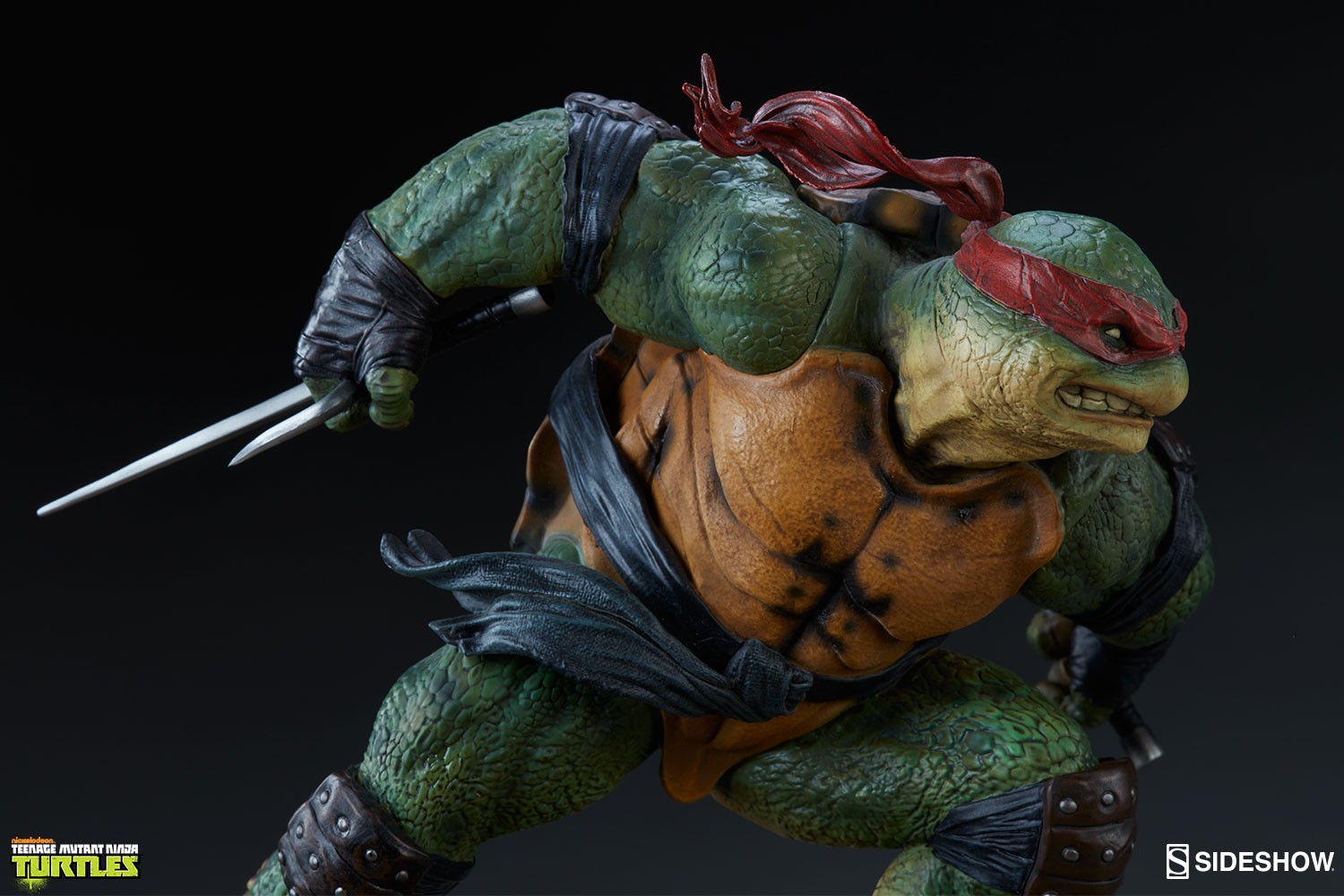 Raphael Collector Edition View 17