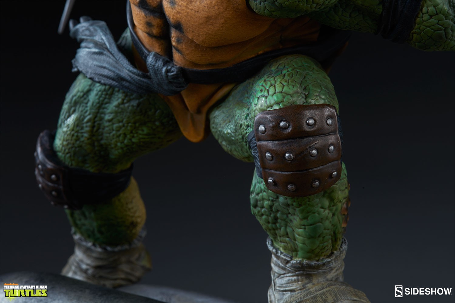 Raphael Collector Edition View 13