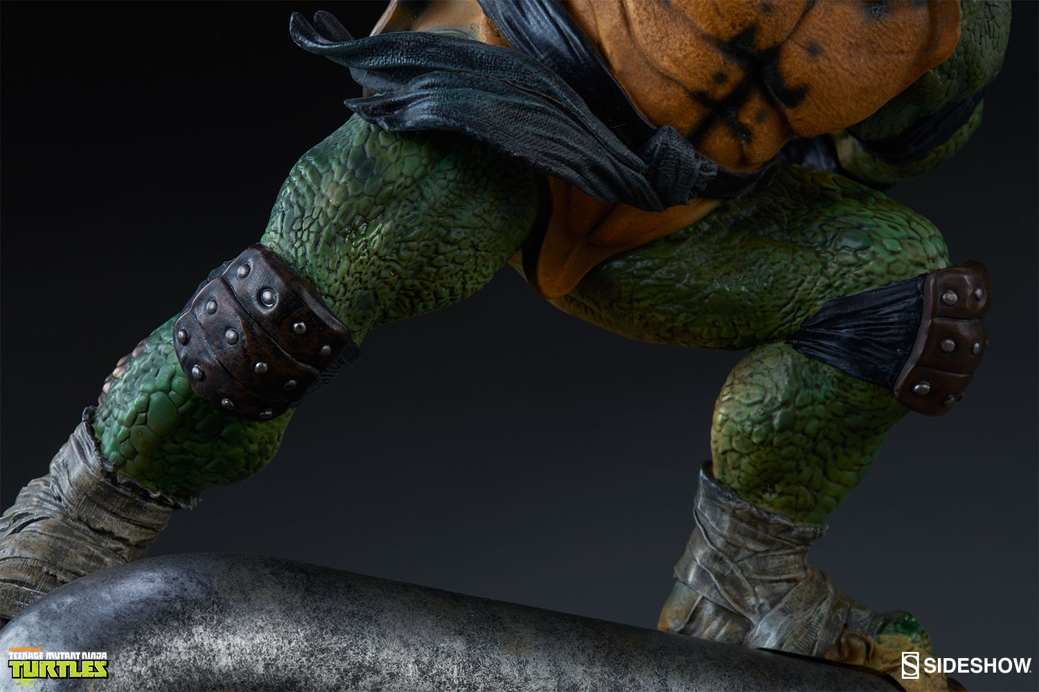 Raphael Collector Edition View 12