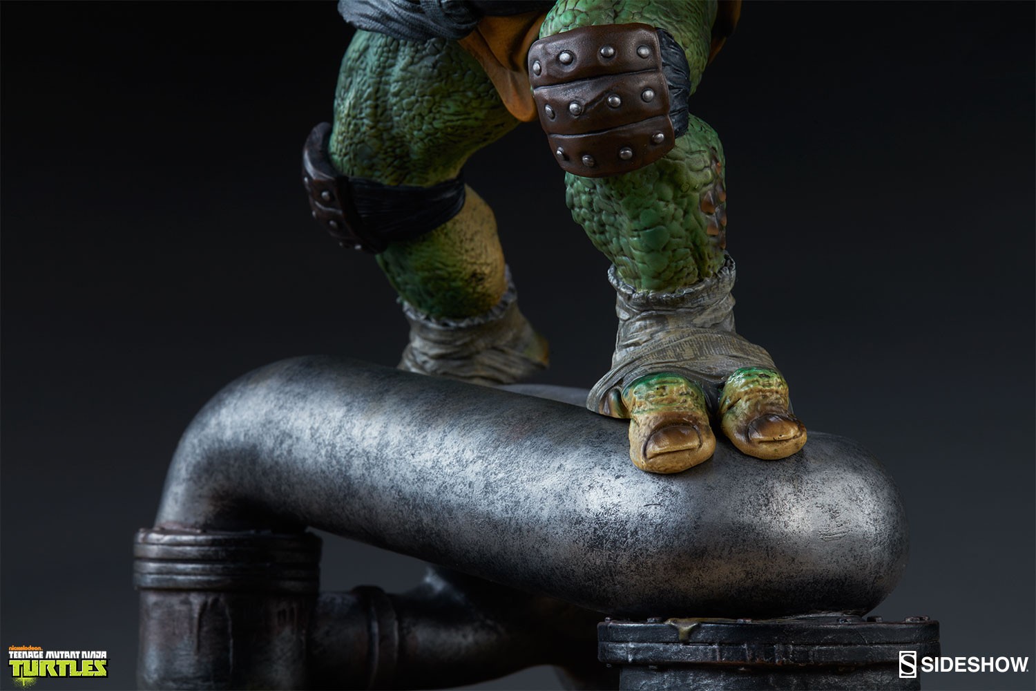 Raphael Collector Edition View 11