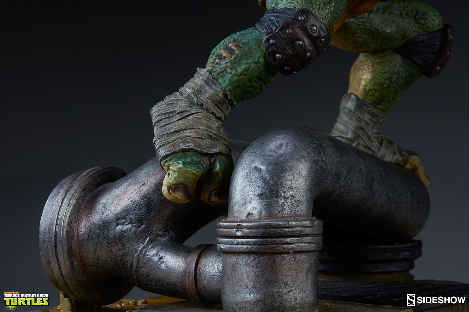 Raphael Collector Edition View 10