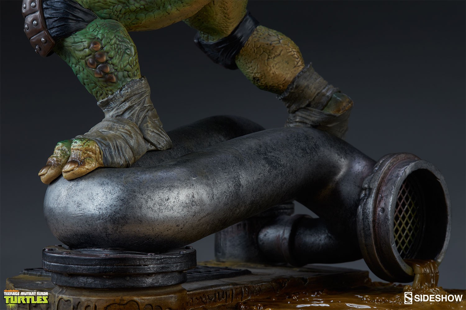 Raphael Collector Edition View 9