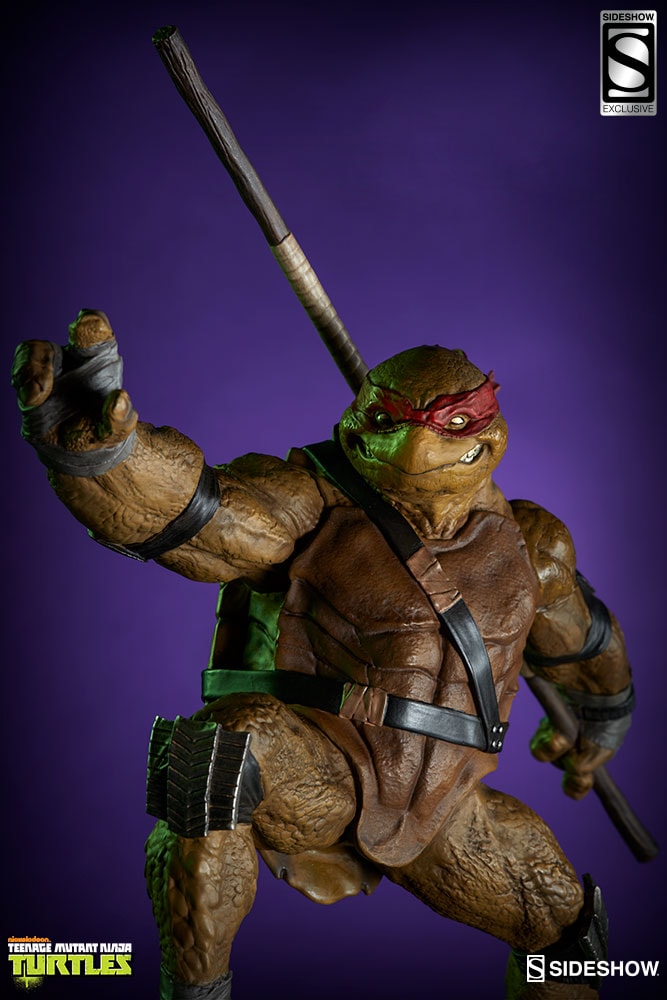 Donatello Exclusive Edition View 4