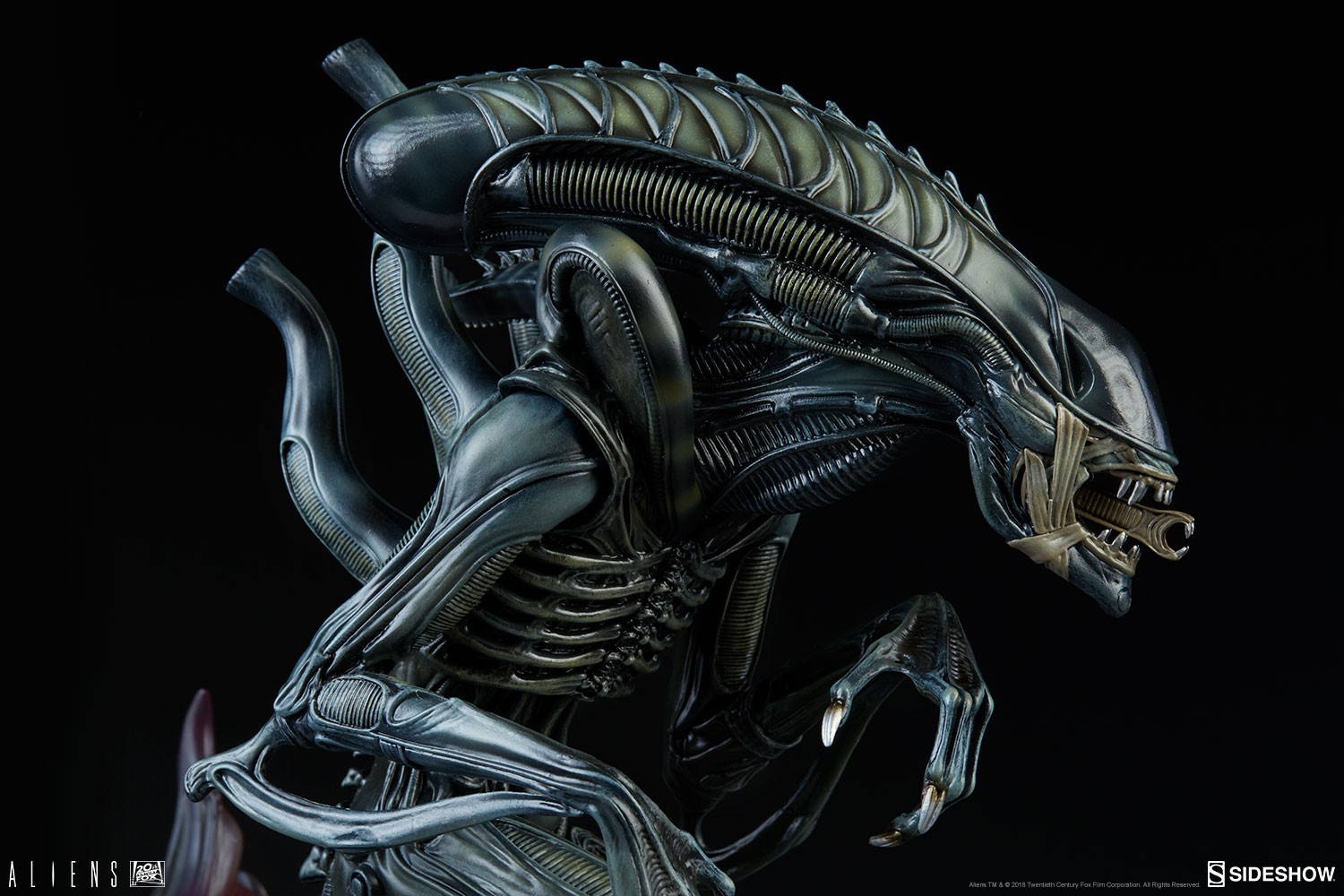 Aliens Alien Warrior Statues  View 12