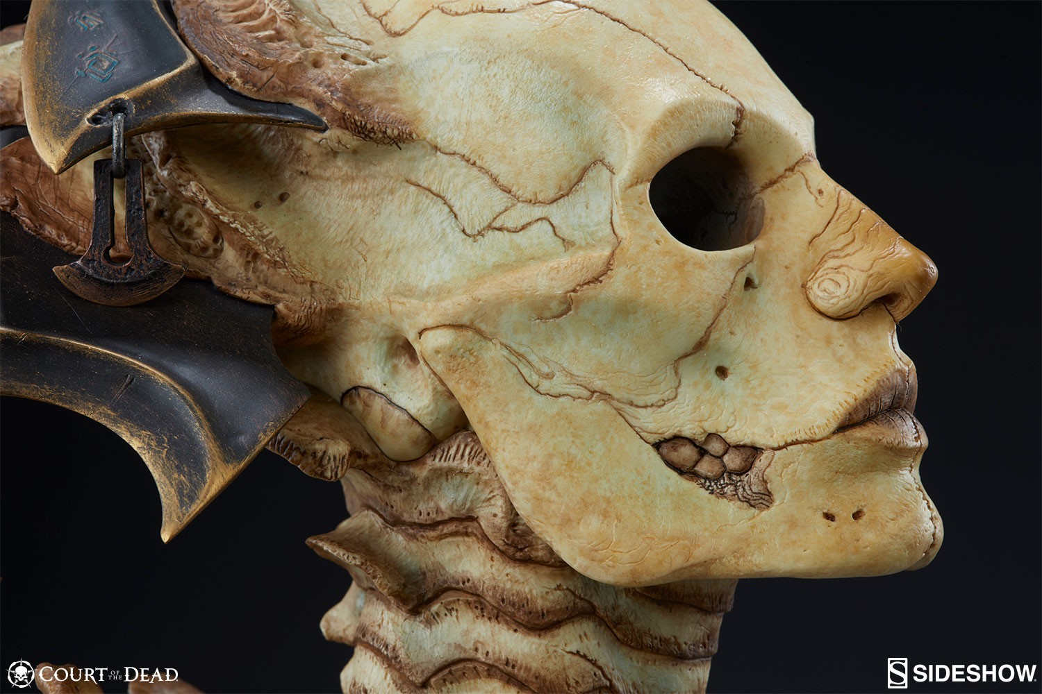 Xiall The Resolve of Bone