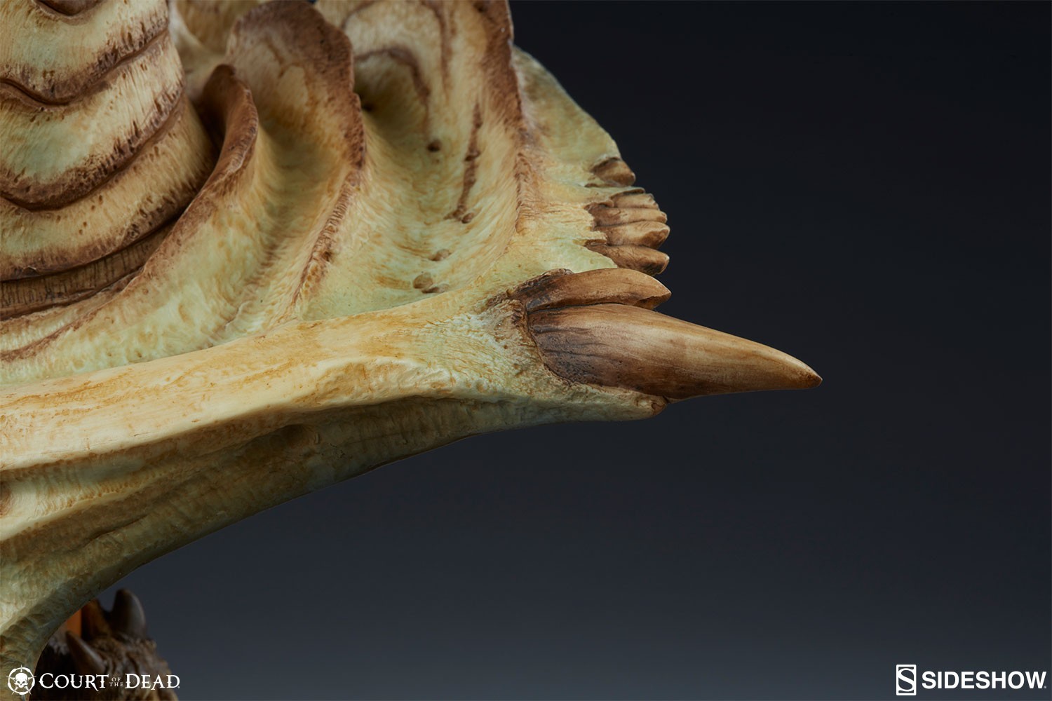 Xiall The Resolve of Bone