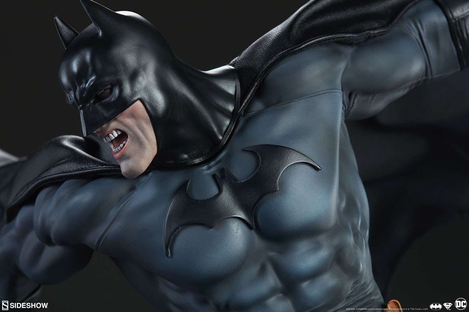 Batman vs Superman Collector Edition View 20