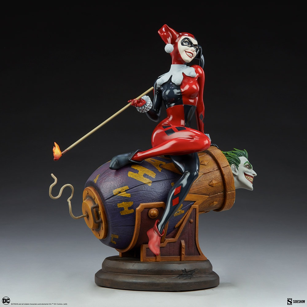 Harley Quinn and The Joker View 13
