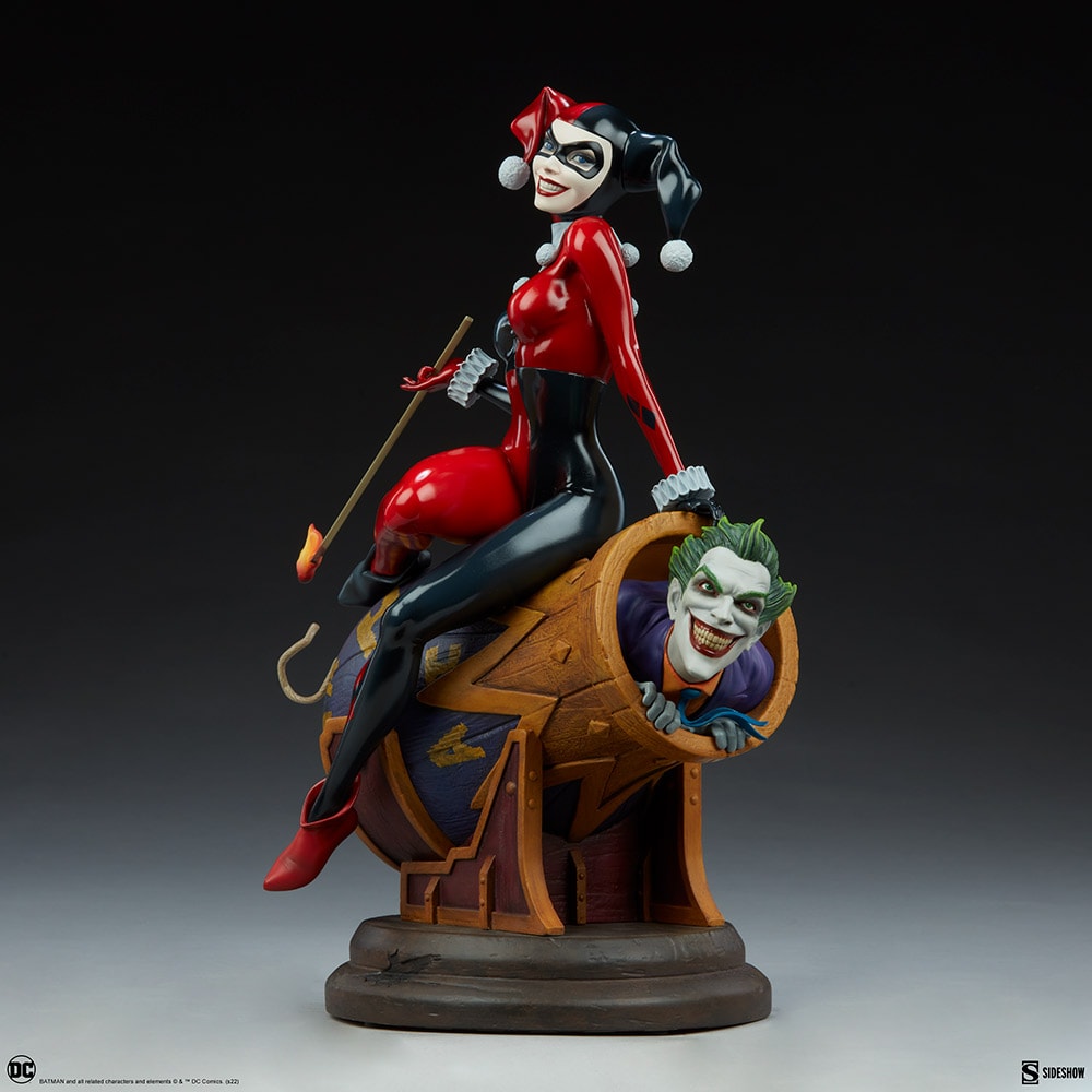 Harley Quinn and The Joker View 15