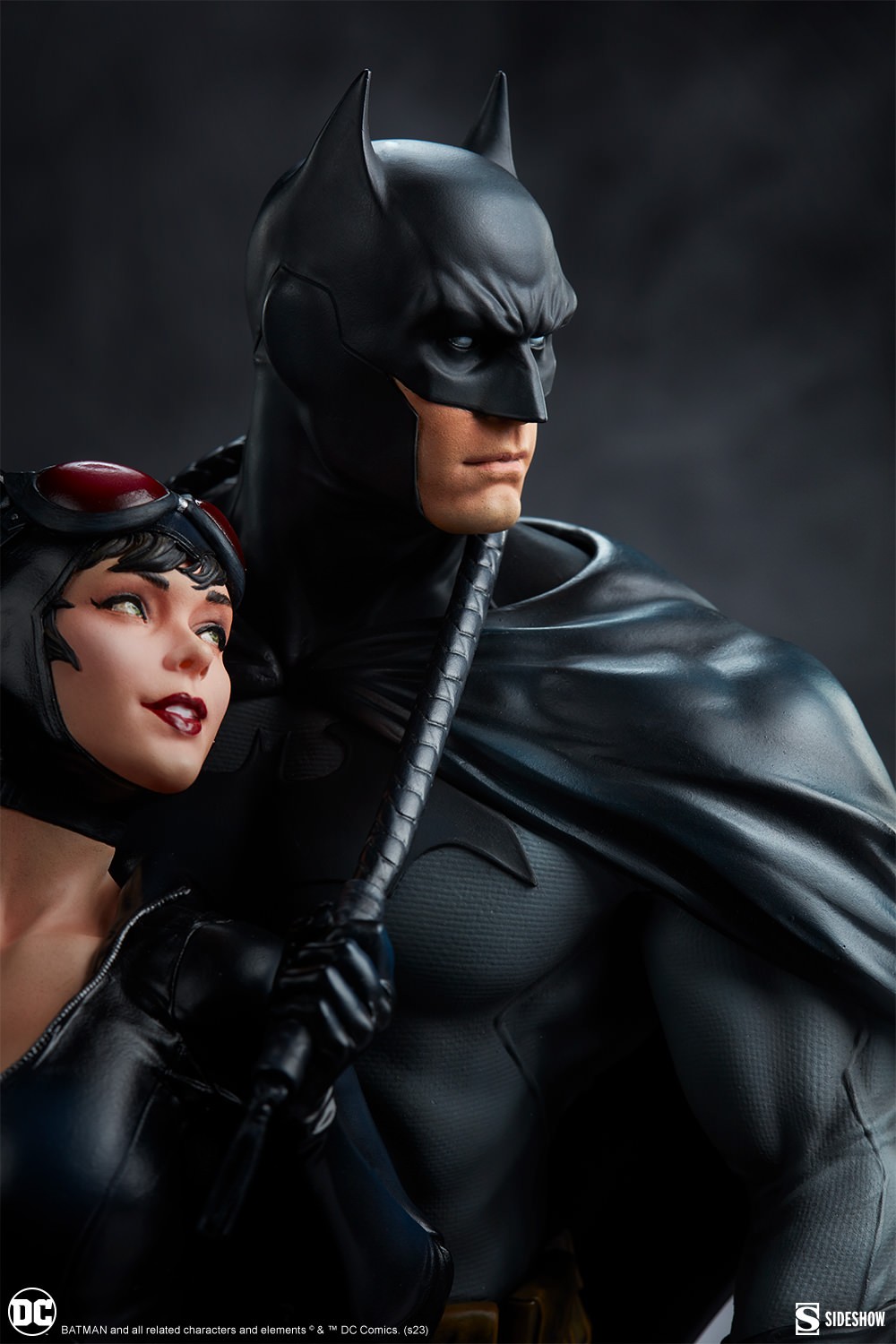 Batman and Catwoman View 13